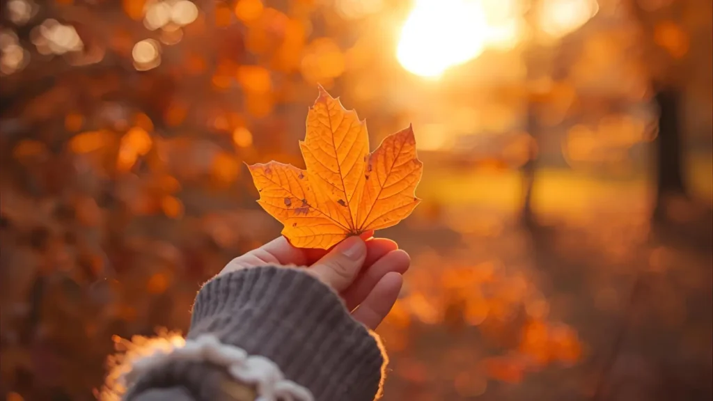 Autumn Instagram Captions