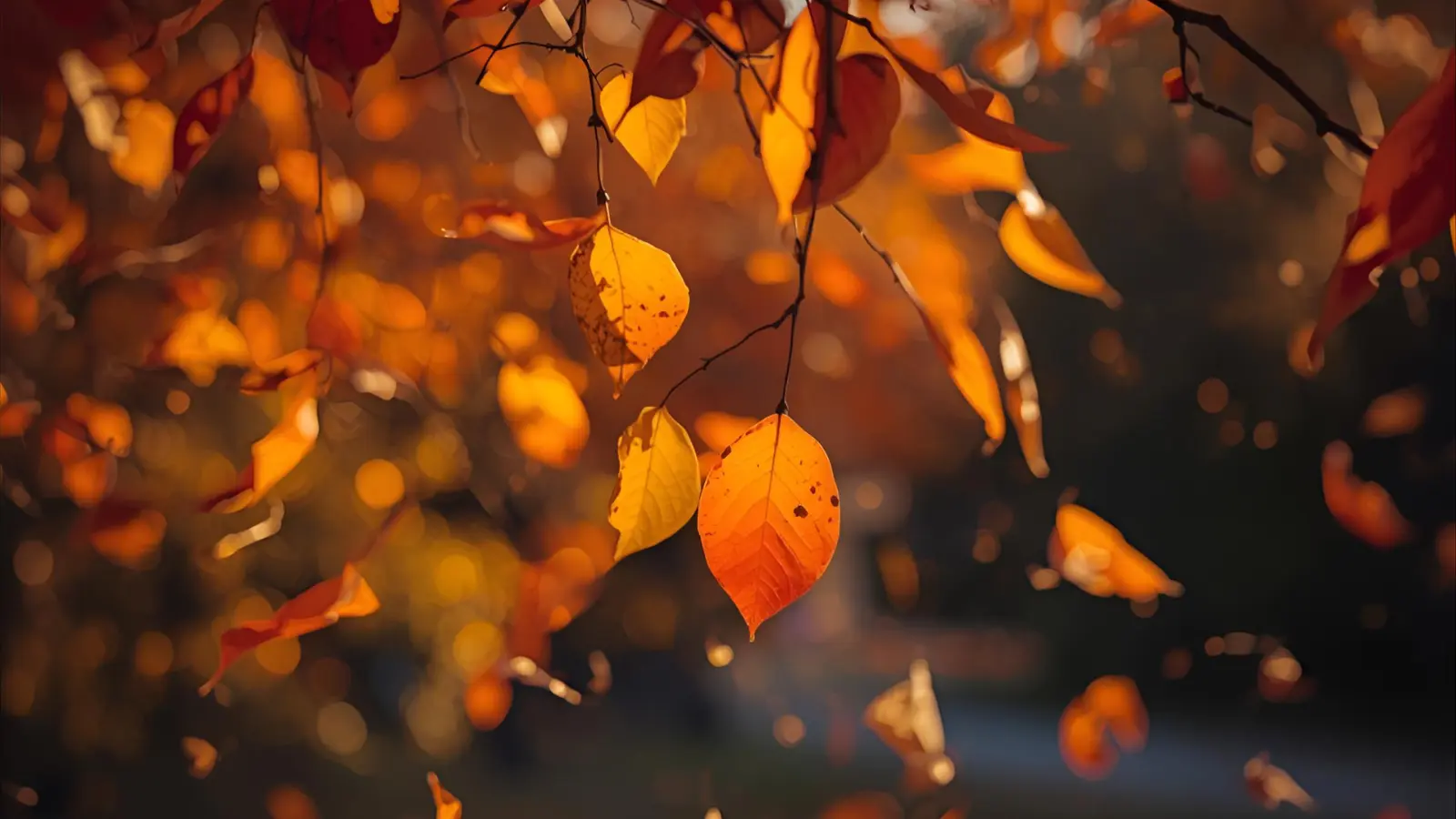 Autumn Instagram Captions
