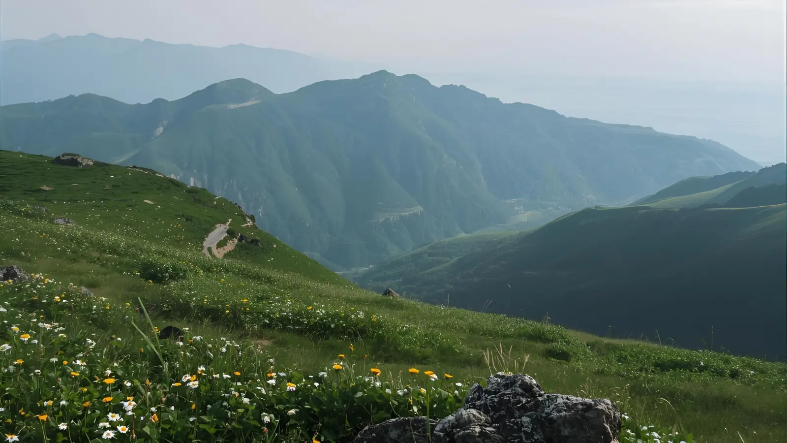 Captions About Nature for Instagram